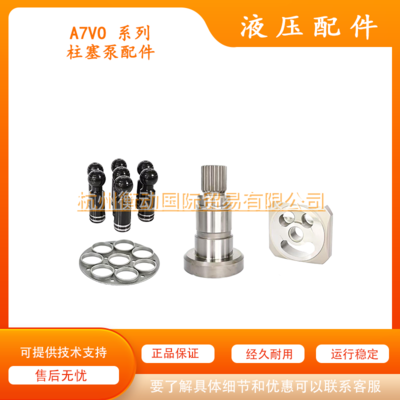 A7VO 28 55 80 107 160 250 355 缸体柱塞配流盘修理包主轴 配件