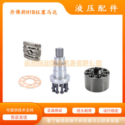 Danfoss H1B 060 080 110 160 210 250 motor accessory cylinder block, plunger, and main shaft for moto