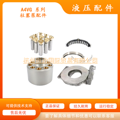 A4VG28 40 56 71 90 125 180 250 缸体柱塞配流盘修理包主轴油封