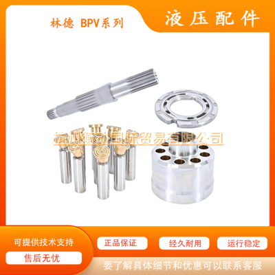林德 BPV 35 50 70 100 200 配件 柱塞配流盘回程盘主轴轴承油封