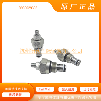 REXROTH 力士乐 R930029303 插装阀 041149035620810