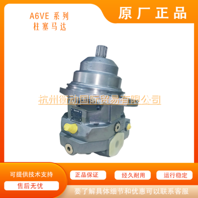 A6VE 28 55 80 107 160 250 HD HZ EP EZ HA 力士乐柱塞马达