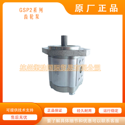 GSP2-B1A16AR-A0-753-0 船舶 齿轮泵A4VG180 A4VG250 克令吊 甲板