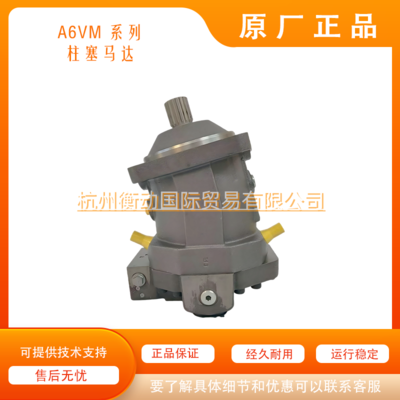A6VM200 250 355 500 1000 HD HA HZ EP EZ DA Rexroth variable piston motor
