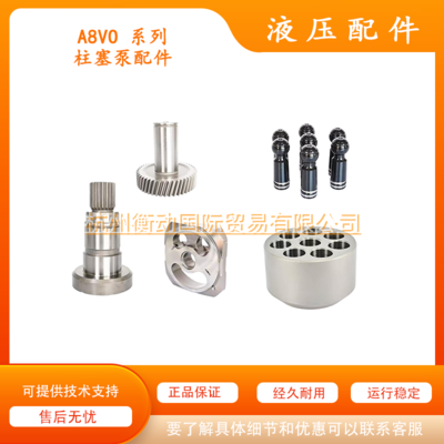 A8VO 55 80 107 140 200 225的缸体柱塞配流盘修理包主轴马达配件
